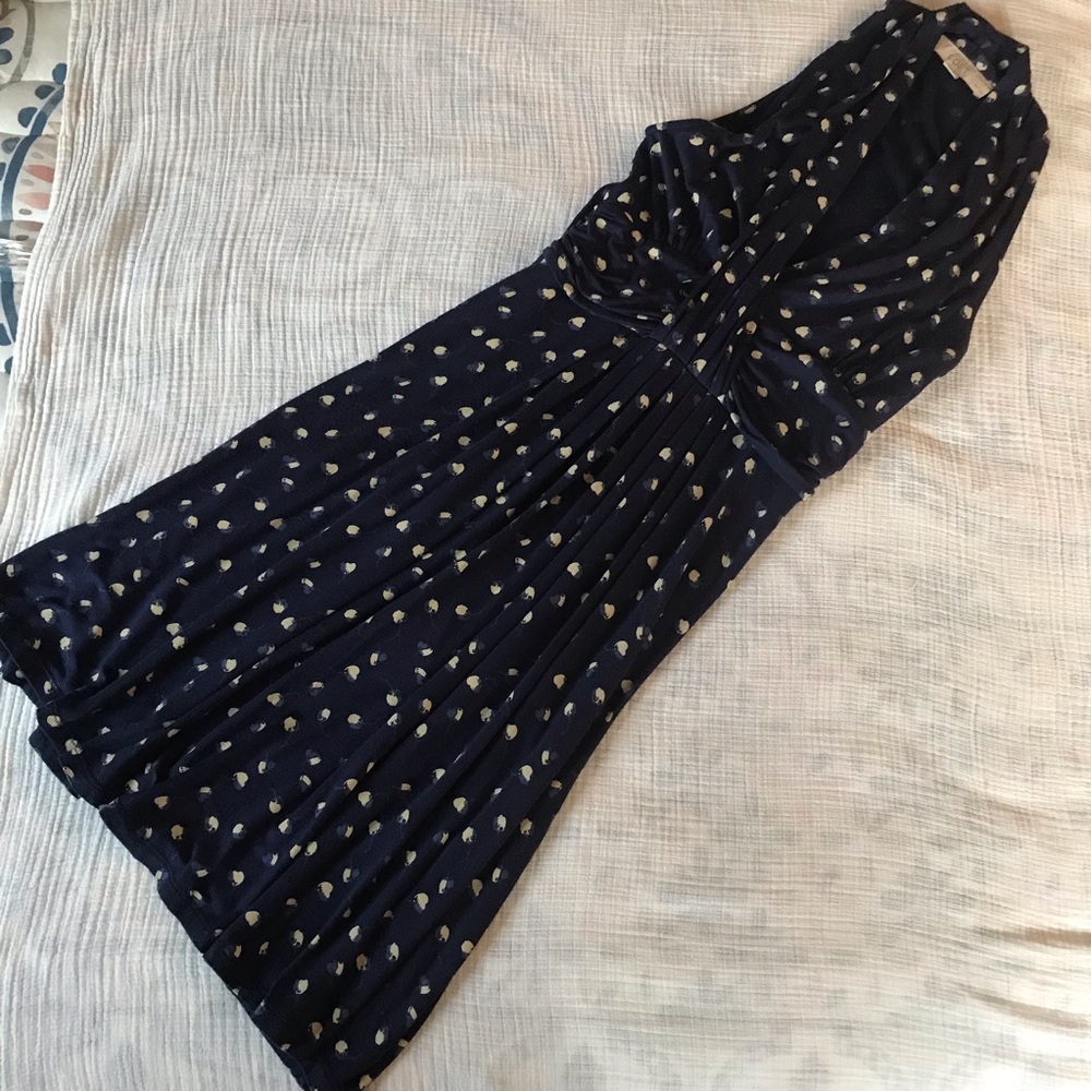 Loft Navy cotton swing floral dress